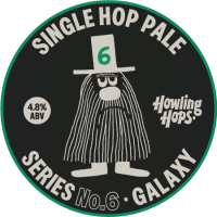 Сингл Хоп Пейл № 6 - Галакси