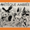 Метек Амбре