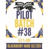 Пилот Батч #38 Блэкберри Хард Селтцер