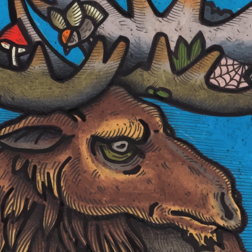 Норзерн Пилс