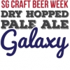 Драй-Хоппед Гэлакси: СГ Крафт Бир Вик