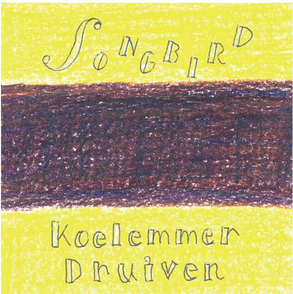 Коелеммер Друйвен