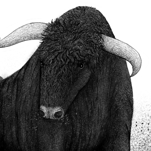 Баррел Эйджд Аурокс Империал Стаут (Ванилла) -- Батч I (3/11/2022)