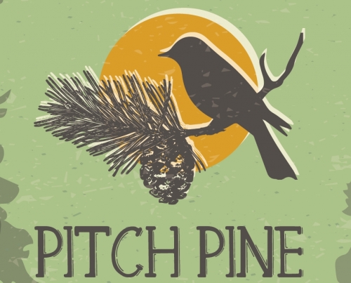 Питч Пайн Эль