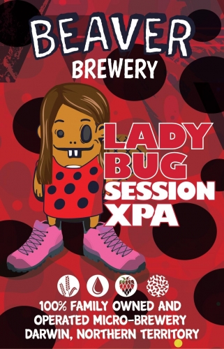 Леди Баг Сэшн Икс-Пи-Эй