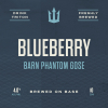 Барн Фантом Гозе Виз Блюберри