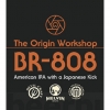 БР-808