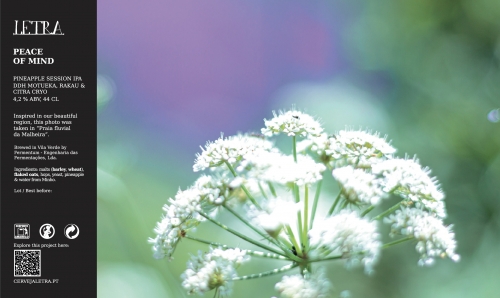 Пис оф Майнд - Пайнэпл Сэшн ИПА