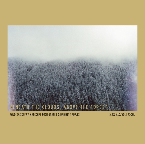 Биниз зе Клаудс Эбов зе Форест