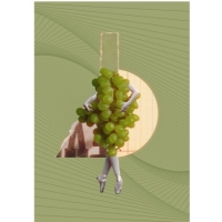 Диг Дип №13 Нельсон Совин