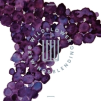 Сент-Волтер 2024: Гаме