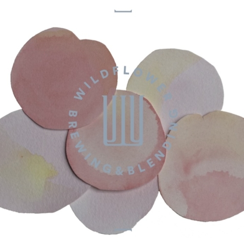 Сент Эбигейл 2024