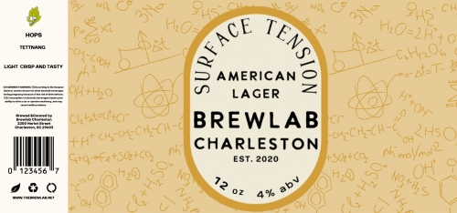 Сёрфейс Теншн Чарлстон Лагер