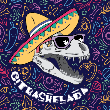 Ситра Челада