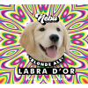 Лабра Д’ор