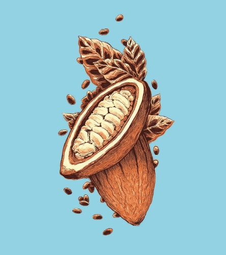 Биг Чоколат