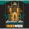 Саммер Эль - Пиво Фестивальное Крафт Бир Вик 01