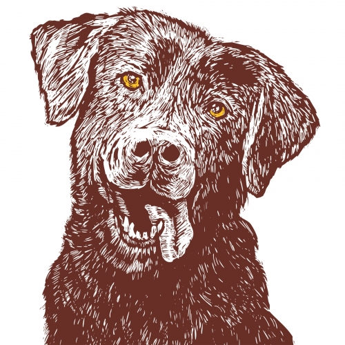 Эллис Браун Эль