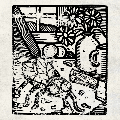 Энд Сандер Дизайр