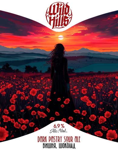 Дарк Пастри Сауэр Эйл Вишня, шоколад