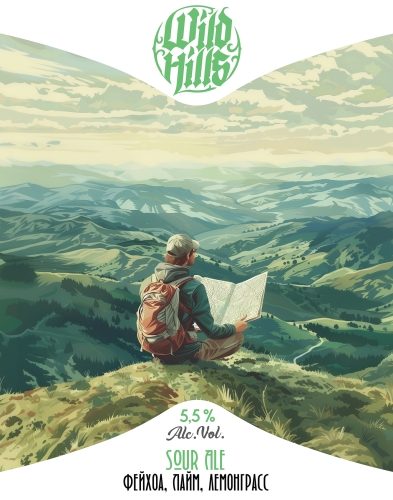 Кислый Эль - Фейхоа, Лайм, Лемонграсс