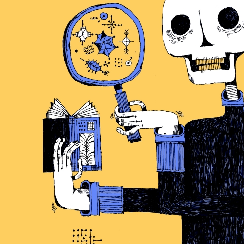 Терра Галлия