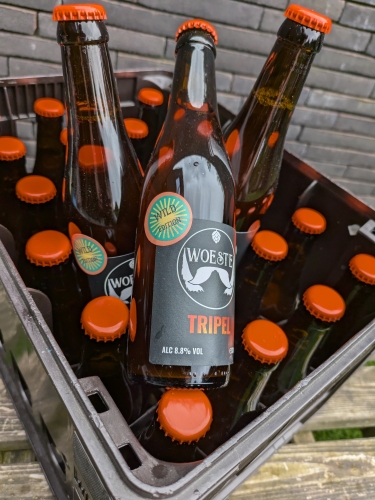 Вуэсте Триппель Вайлд Гёзе