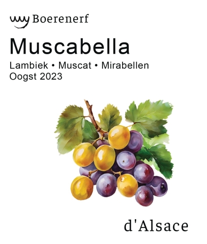 Мускабелла (2023)