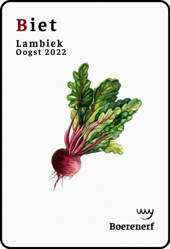 Бит (2022 - Боттл)