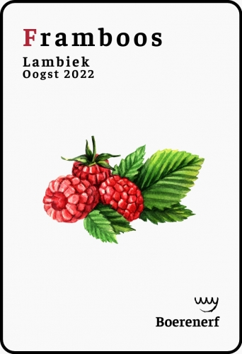 Фрамбоос (2022)