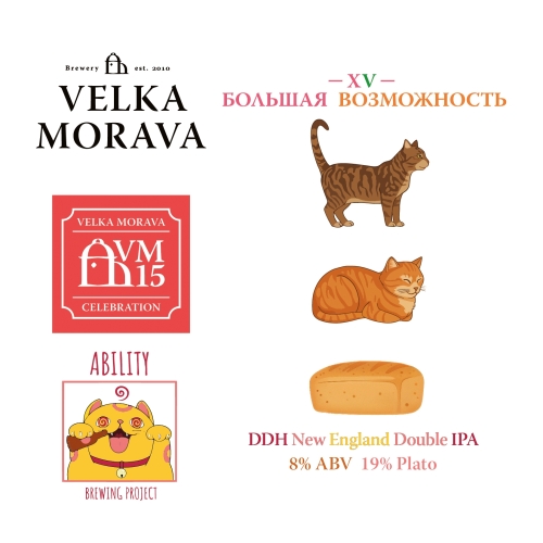 XV Большая Возможность