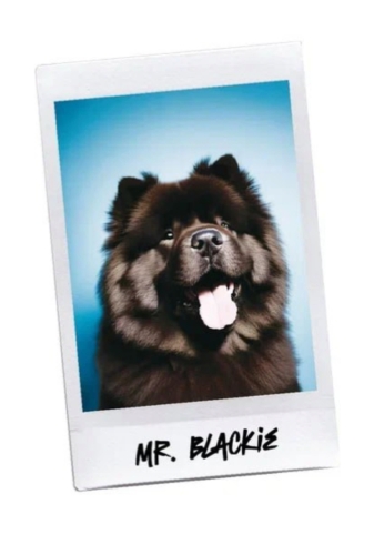 Мистер Блэки