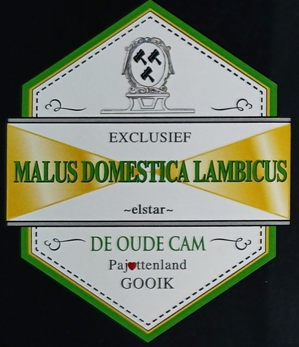 Малус Доместика Ламбикус