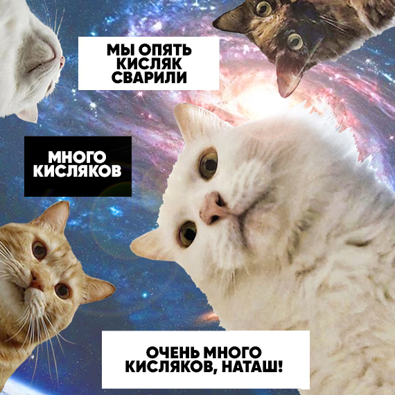 Вейк Ап, Наташа!