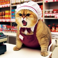 Галя, У Нас Отмена!