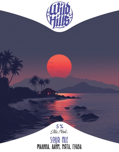 Кислый Эль - Малина, лайм, мята, гуава