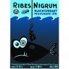 Рибес Нигрум