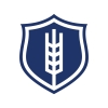 Лайт Лагер