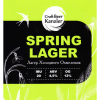 Спринг Лагер