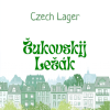 Жуковский Лежак
