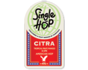 Сингл Хоп Цитра