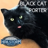 Блэк Кэт Портер