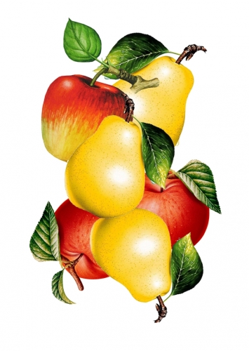 Грушевый Сидр