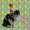 Ан-Юзу-Эль