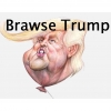 Бравсе Трамп