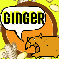 Имбирный Эль