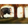 Нэ Дэ Пуавро Брассен Спесиаль (2011)