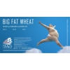 БИГ ФАТ ВИТ