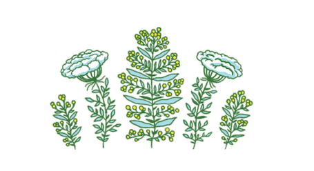 Мидоу (2020)