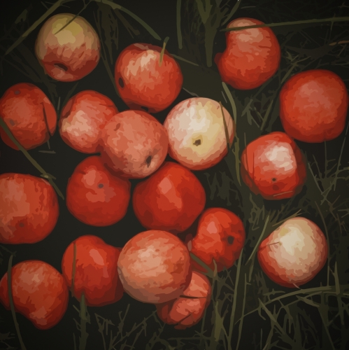 Физзи Эпл Сидер